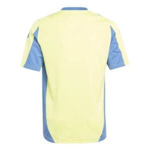 re_1717548960_ajax-2024-2025-training-football-jersey-pulse-yellow-kids-back-2