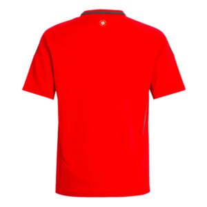 re_1717997578_wales-2024-2025-home-football-shirt-kids-back-1