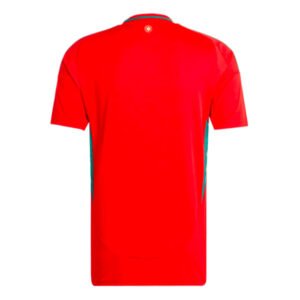 re_1717998512_wales-2024-2025-home-football-shirt-back-2