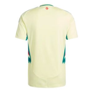 re_1717999789_wales-2024-2025-away-football-shirt-back-1