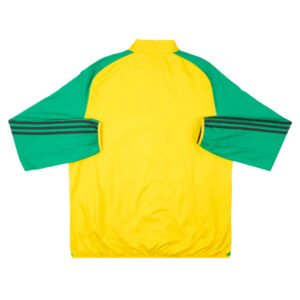 re_1718187758_jamaica-2024-2025-football-anthem-jacket-yellow-back-2