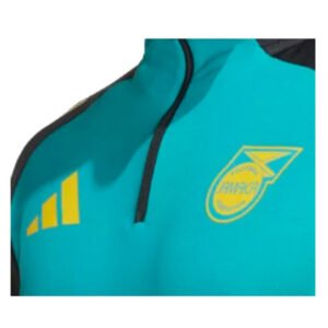 re_1718320208_jamaica-2024-2025-football-training-top-green-basge-2