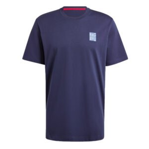 re_1718327944_ajax-2024-2025-szn-football-graphic-tee-legend-ink-2