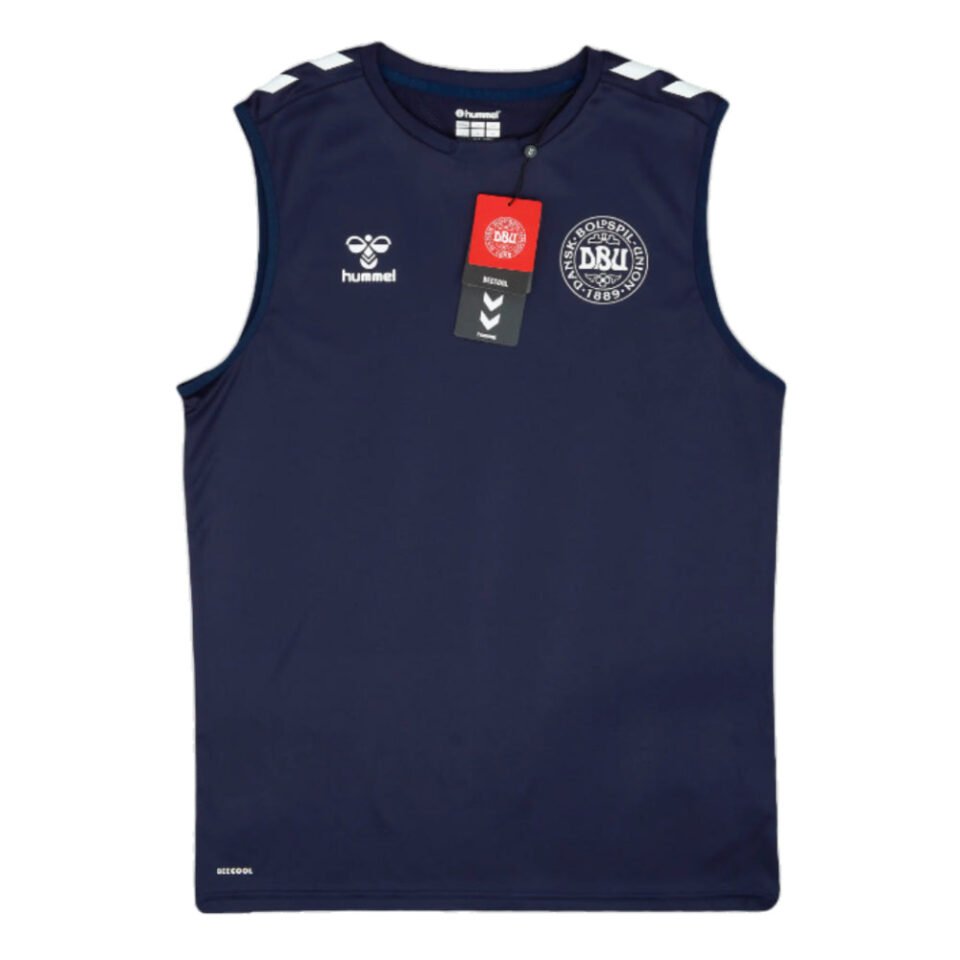 2024-2025 Denmark Sleeveless Training Jersey