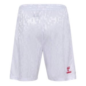 re_1718737814_denmark-2024-2025-home-football-shorts-white-back-2