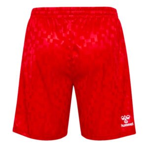 re_1718738513_denmark-2024-2025-away-football-shorts-red-back-3