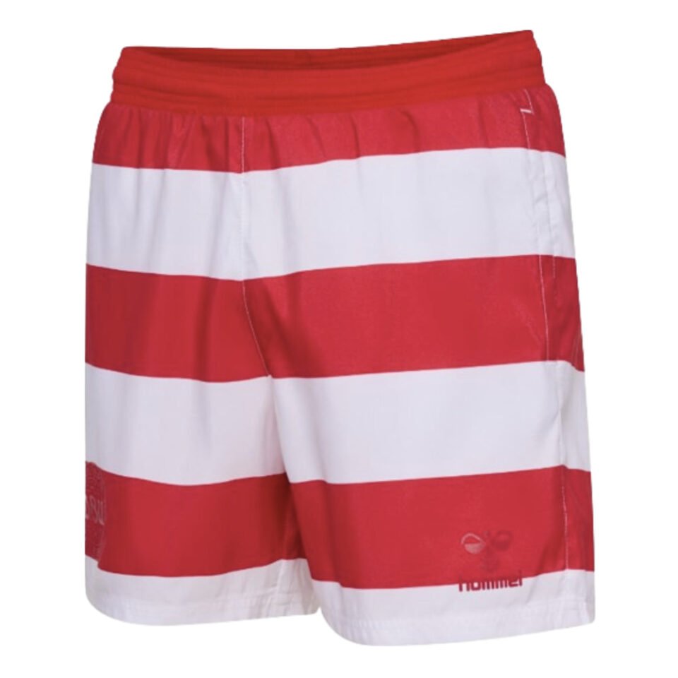 2024-2025 Denmark Pattern Swim Shorts
