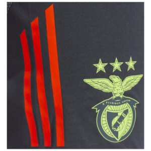 re_1719796401_benfica-2024-2025-football-training-shorts-night-grey-badge-1