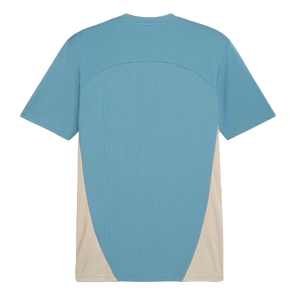 re_1719875725_marseille-2024-2025-puma-training-football-shirt-bold-blue-back-3