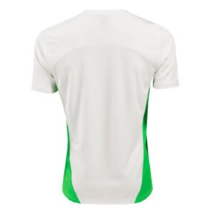 re_1719900560_psv-eindhoven-2024-2025-football-puma-training-shirt-white-back-2