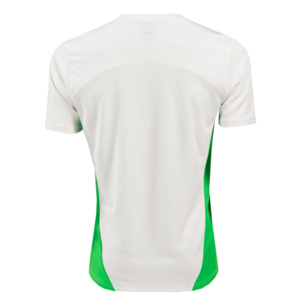 re_1719900560_psv-eindhoven-2024-2025-football-puma-training-shirt-white-back-2