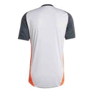 re_1719907608_benfica-2024-2025-adidas-football-training-jersey-grey-back-2