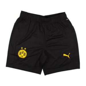 re_1720417952_borussia-dortmund-2024-2025-training-football-shorts-black-2