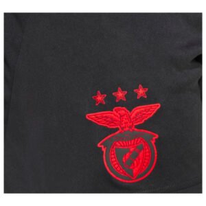 re_1721018932_benfica-2024-2025-adidas-away-football-shorts-black-badge-2