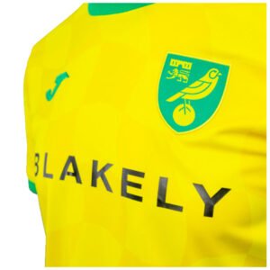 re_1721252852_2024-2025-norwich-joma-home-football-shirt-badge_aff73be9-357d-43a8-a087-da7f3183f917-4