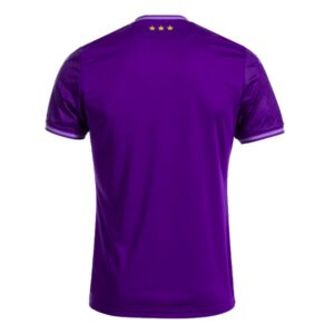 re_1721361240_anderlecht-2024-2025-joma-home-football-shirt-back-1