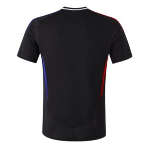 re_1721377346_olympique-lyon-2024-2025-adidas-away-football-shirt-back-2