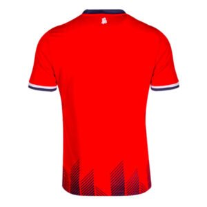 re_1721604415_bochum-2024-2025-mizuno-third-football-jersey-back-3