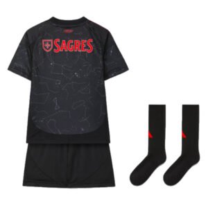 re_1721686435_benfica-2024-2025-adidas-away-mini-football-kit-back-2