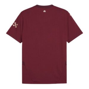 re_1722203194_man-city-2024-2025-puma-third-football-shirt-back-2