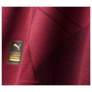 re_1722210573_man-city-2024-2025-puma-third-long-sleeve-football-shirt-front-detail-3