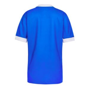 re_1722299229_2024-2025-nike-birmingham-city-home-football-shirt-kids-back-2