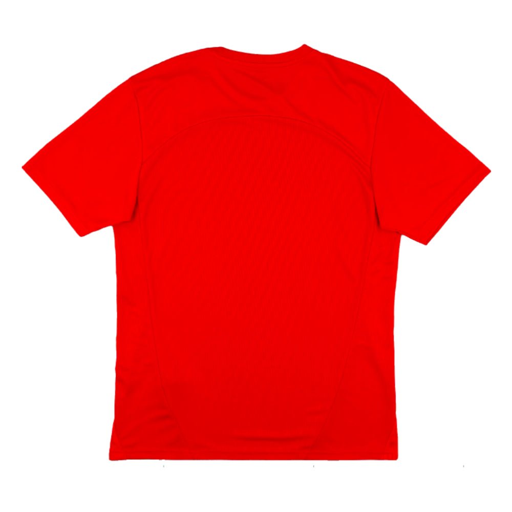 re_1723084395_stade-rennais-2024-2025-puma-football-training-jersey-red-back-3