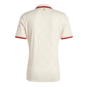 re_1723526890_bayern-munich-2024-2025-adidas-third-football-shirt-back-4