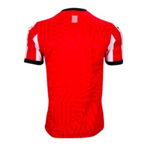re_1724125953_2024-2025-southampton-puma-home-football-shirt-back-4