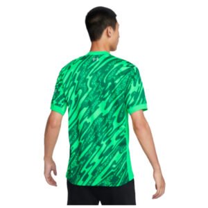 re_1724284334_2024-2025-liverpool-nike-goalkeeper-football-shirt-green-back-5