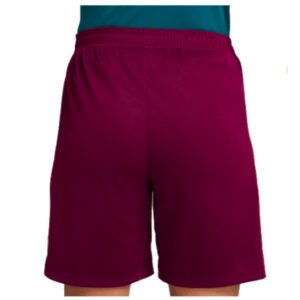 re_1724287300_psg-2024-2025-football-strike-dri-fit-football-shorts-burgundy-back-5