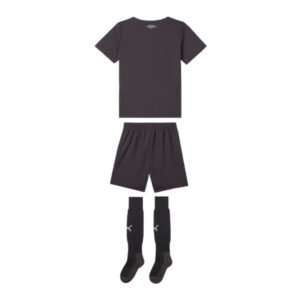 re_1724666879_ac-milan-2024-2025-puma-third-mini-kit-5