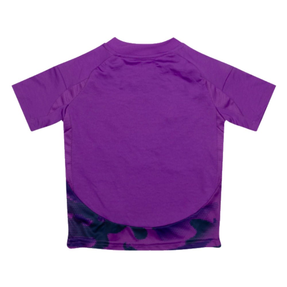 re_1725032252_2024-2025-fulham-adidas-third-mini-football-kit-top-back-1