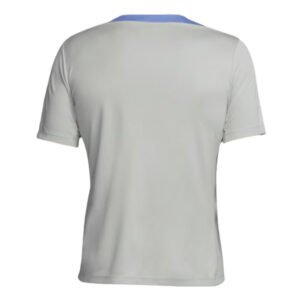 re_1727305441_tottenham-2024-2025-nike-strike-t-shirt-grey-back-4
