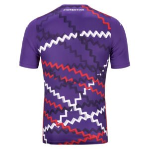re_1730837648_fiorentina-2024-2025-training-football-shirt-purple-back-4