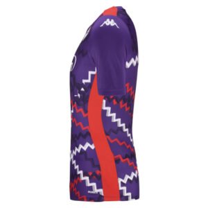 re_1730837648_fiorentina-2024-2025-training-football-shirt-purple-side-4