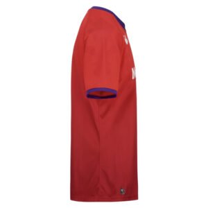 re_1730839108_fiorentina-2024-2025-kappa-third-football-shirt-side-4