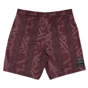 re_1731621036_denmark-special-edition-hummel-x-halo-shorts-dark-red-back-3