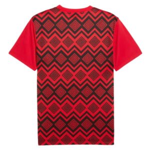 re_1731904663_egypt-2024-2025-puma-prematch-ss-football-jersey-red-back-3