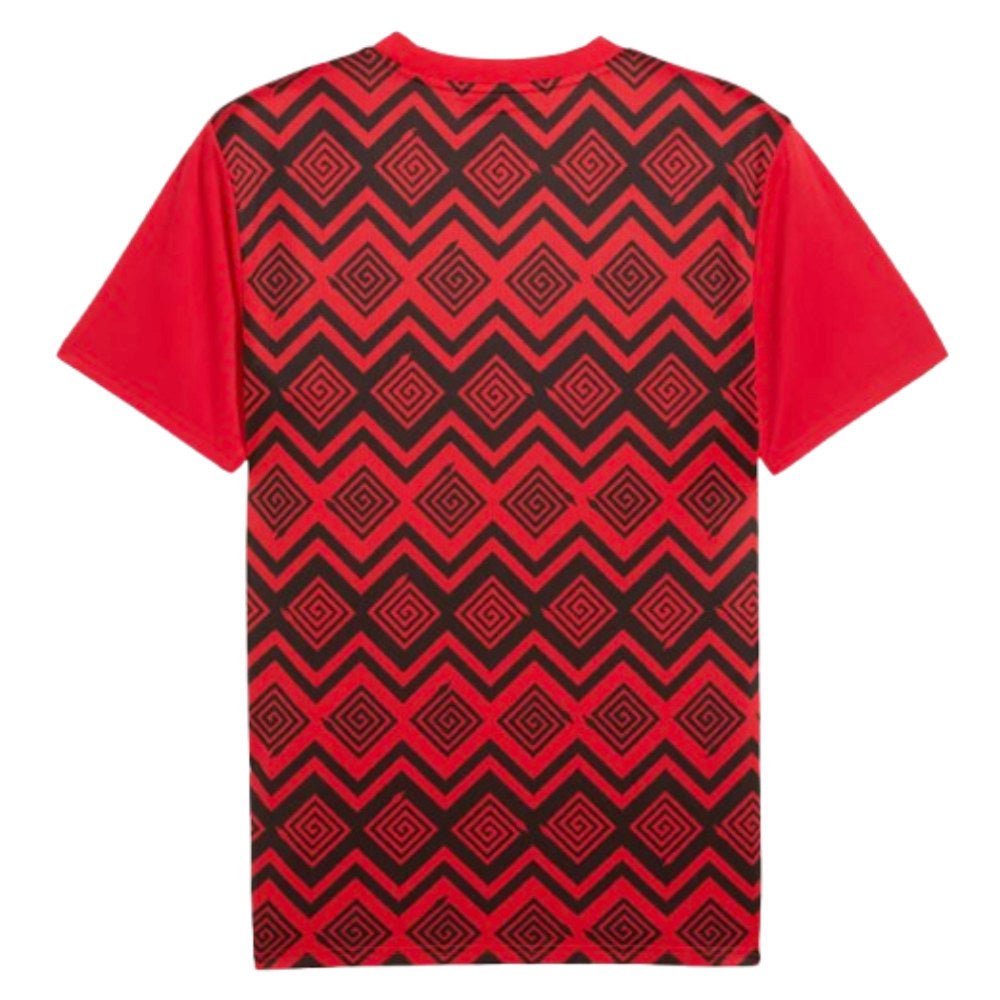 re_1731904663_egypt-2024-2025-puma-prematch-ss-football-jersey-red-back-3