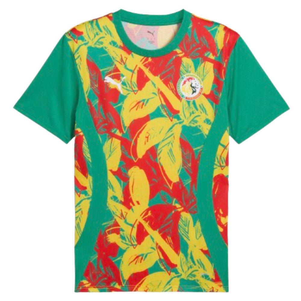 re_1731926487_senegal-2024-2025-puma-prematch-ss-jersey-green-2