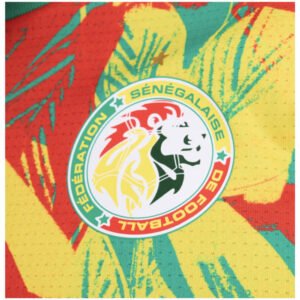 re_1731926487_senegal-2024-2025-puma-prematch-ss-jersey-green-bdge-2