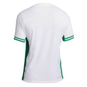 re_1732146094_2024-2025-nigeria-nike-home-vapor-football-shirt-back-4