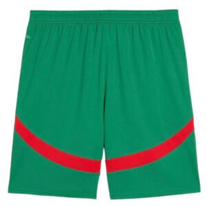re_1732489115_morocco-2024-2025-puma-shorts-green-back-5