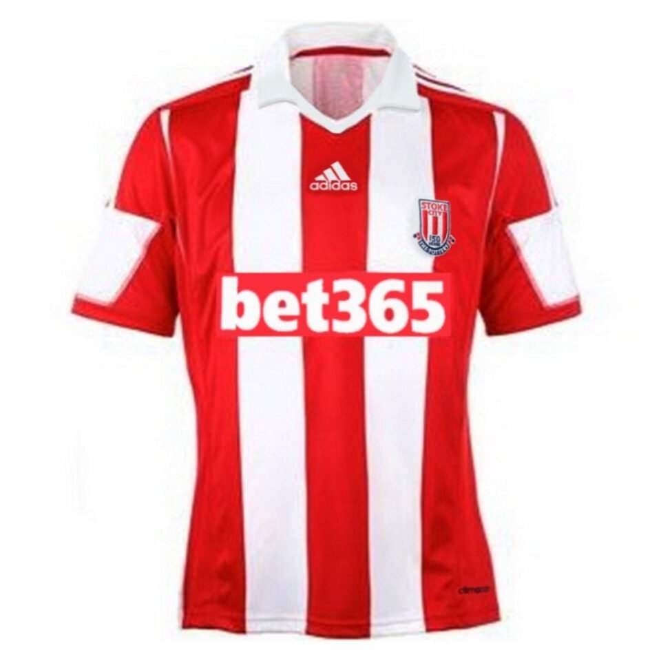 Stoke 2013-14 Home Shirt