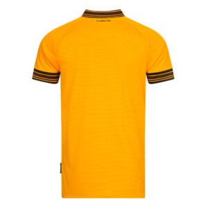 resize-dynamo-dresden-2022-2023-home-football-shirt-back-moreadtnl01702332749_cfea14c8-b4ff-4e26-86f7-7c7c0b848bcd