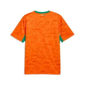 2026 Ivory Coast Home Shirt - Detail